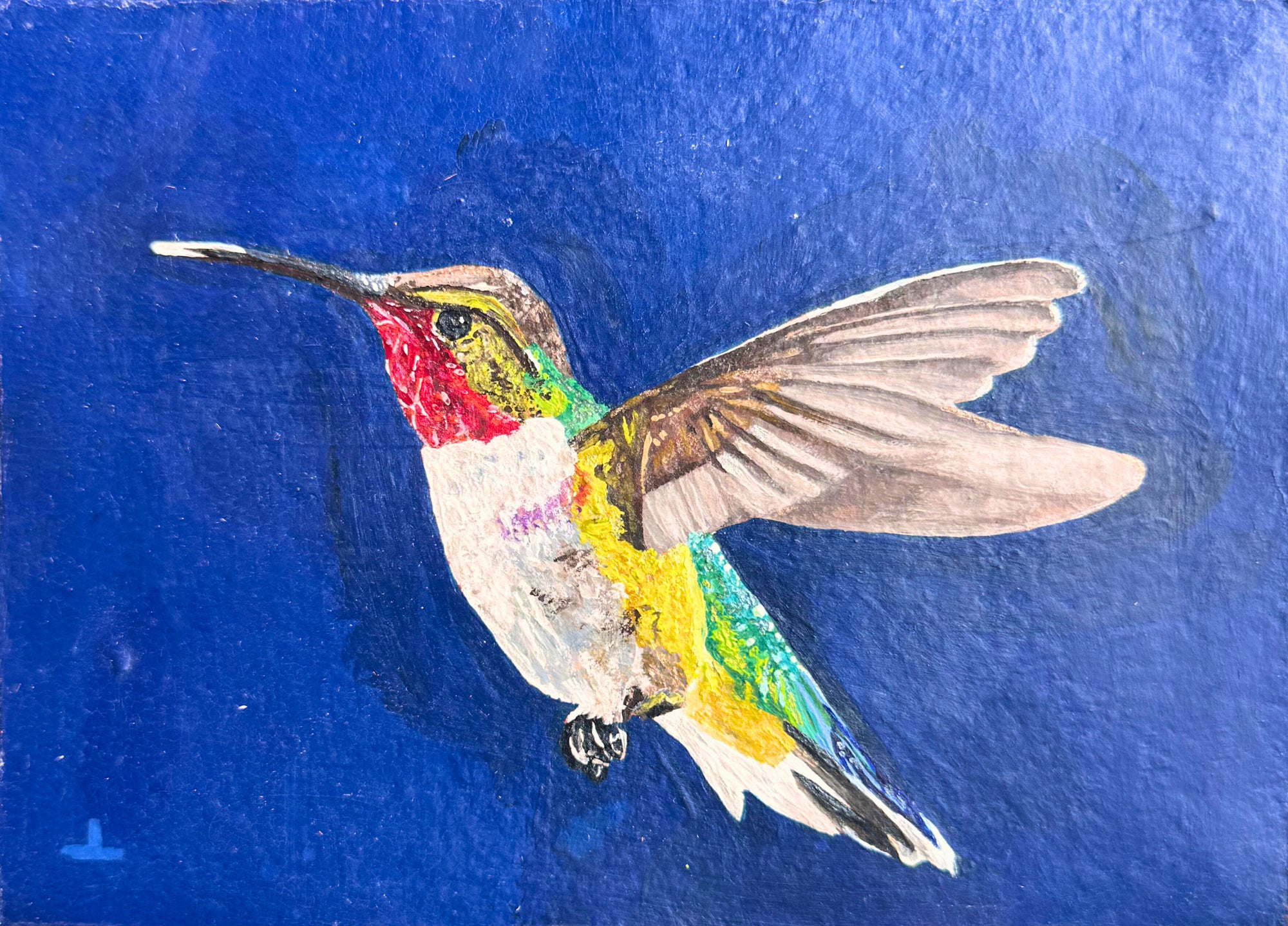 Hummingbird